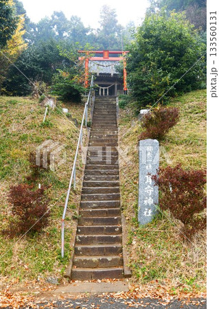 【小美玉市　日本一社「耳守神社」参道石段と鳥居】 133560131