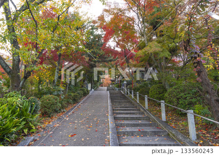 粟田神社 紅葉のトンネル 粟田神社 紅葉のトンネル 133560243