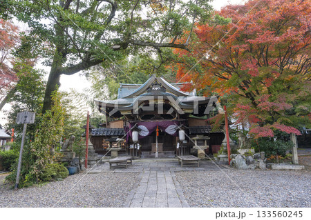 粟田神社　本殿　紅葉の季節 133560245