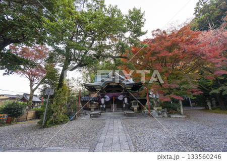 粟田神社　本殿　紅葉の季節 133560246