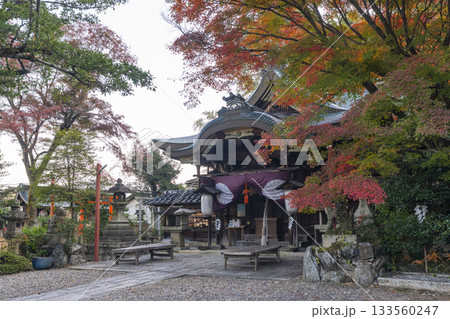 粟田神社 本殿 紅葉の季節 粟田神社 本殿 紅葉の季節 133560247