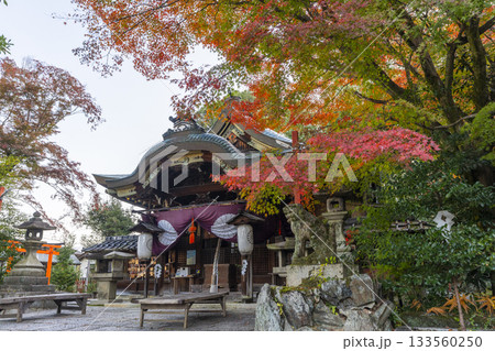 粟田神社　本殿　紅葉の季節 133560250
