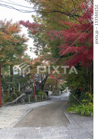 粟田神社　石段　紅葉のトンネル 133560252