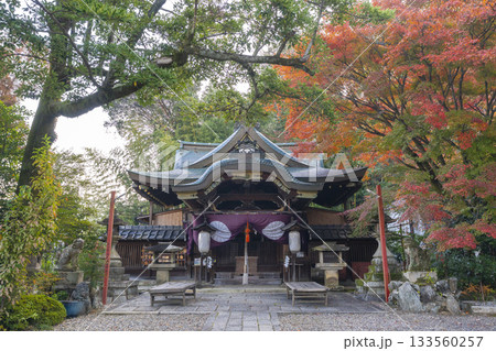 粟田神社　本殿　紅葉の季節 133560257