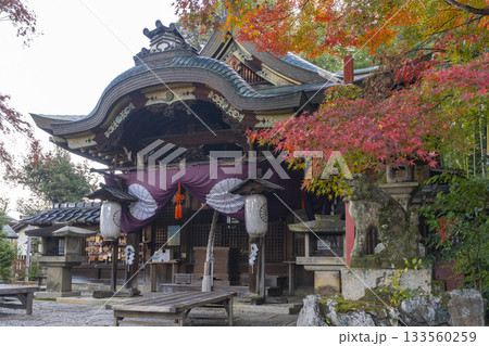 粟田神社　本殿　紅葉の季節 133560259