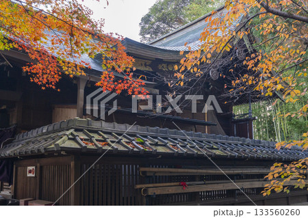 粟田神社　紅葉の季節 133560260