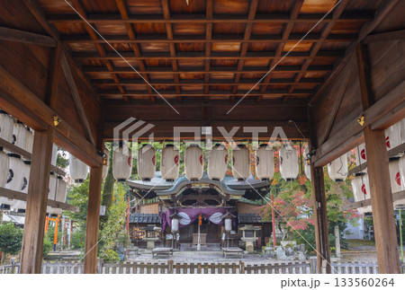 粟田神社　拝殿から見える本殿　紅葉の季節 133560264
