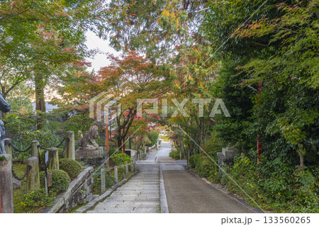 粟田神社　石段　紅葉のトンネル 133560265