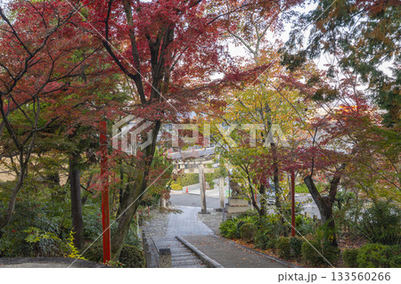 粟田神社　石段　紅葉のトンネル 133560266