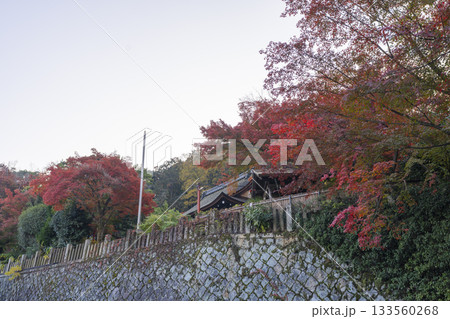 粟田神社　本殿　紅葉の季節 133560268