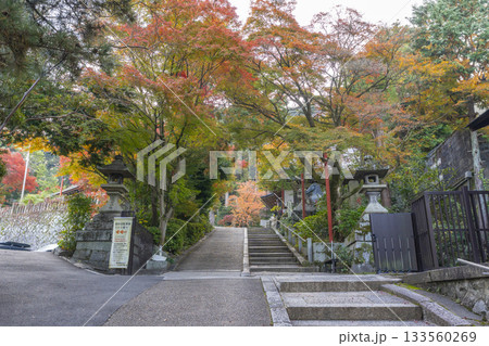 粟田神社　石段　紅葉のトンネル 133560269