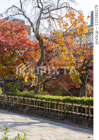 秋の京都　祇園白川 133560276