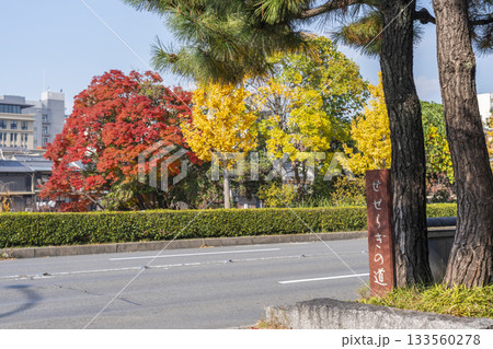 秋の京都　祇園白川 133560278