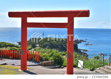 指宿市　長崎鼻の龍宮神社　鳥居の向こうに長崎鼻灯台 133560300