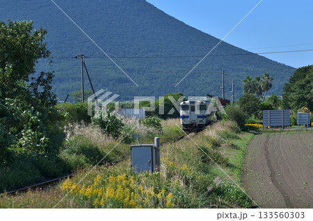 鹿児島県　日本最南端の西大山駅と開聞岳 133560303