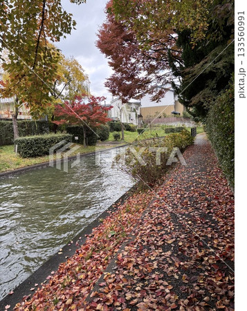 紅葉の散歩道 133560991