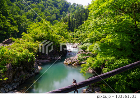 250608秋山郷見倉橋 250608秋山郷見倉橋 133561333