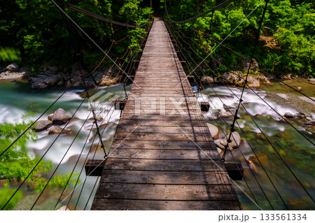250608秋山郷見倉橋 133561334