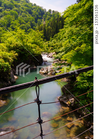 250608秋山郷見倉橋 250608秋山郷見倉橋 133561336