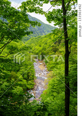 250608雑魚川の大滝 133561492