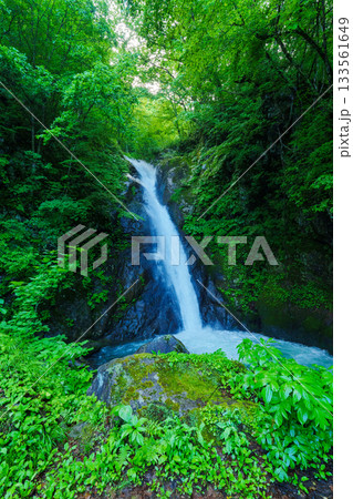 250612秋山郷大瀬の滝 133561649