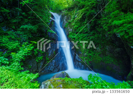 250612秋山郷大瀬の滝 133561650