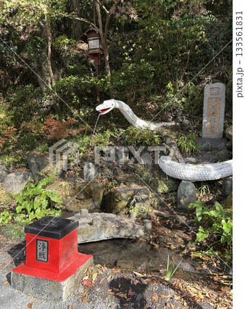 出流原涌釜神社に映える紅葉_ 日本名水百選_ 栃木県の天然記念物 出流原涌釜神社に映える紅葉_ 日本名水百選_ 栃木県の天然記念物 133561831