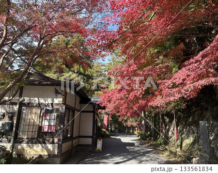 出流原涌釜神社に映える紅葉_ 日本名水百選_ 栃木県の天然記念物 133561834
