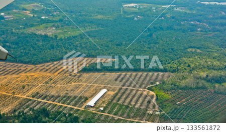 View from the sky of the palm oil landscape View from the sky of the palm oil landscape 133561872