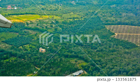 View from the sky of the palm oil landscape View from the sky of the palm oil landscape 133561875
