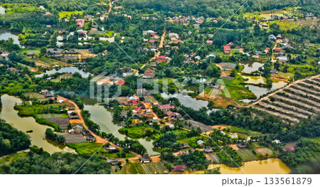 View from the sky of the palm oil landscape 133561879