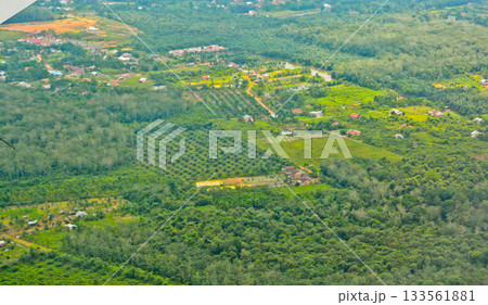 View from the sky of the palm oil landscape View from the sky of the palm oil landscape 133561881