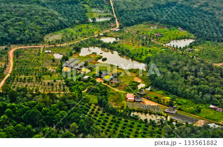 View from the sky of the palm oil landscape View from the sky of the palm oil landscape 133561882