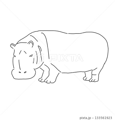 カバの線画 カバの線画 133561923