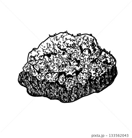 Oval evergreen bush with leaves. Hand drawn black white isolated illustration. Monochrome graphic of landscape element for architectural and garden sketches. Rock object in line clip art. 133562043