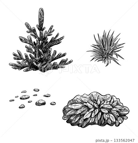 Stone group, evergreen spruce, grass bushes. Hand drawn black white set illustration. Monochrome graphic of landscape element for architectural and garden sketches. Rock object in line clip art. 133562047