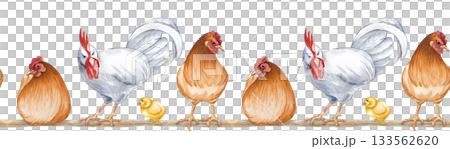 Watercolor seamless border depicting sitting and standing farm birds on a roost. Horizontal illustration of a poultry yard on an isolated background. Brown hens, white rooster and chickens on a roost 133562620