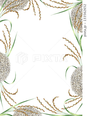 Frame with rice stalks and piles of rice. Hand-drawn watercolor illustration. Design element for menus, recipes, and cookbooks. For banners, flyers, packaging, labels, and more. 133562652
