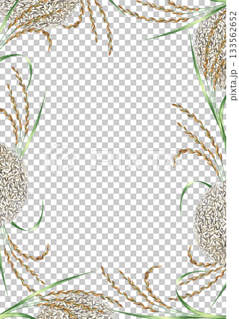 Frame with rice stalks and piles of rice. Hand-drawn watercolor illustration. Design element for menus, recipes, and cookbooks. For banners, flyers, packaging, labels, and more. 133562652