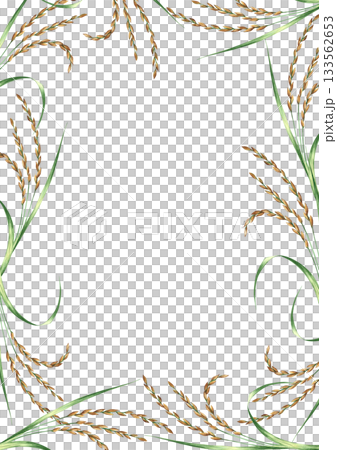 Frame with rice stalks. Hand-drawn watercolor illustration. Design element for menus, recipes, and cookbooks. For banners, flyers, packaging, labels, and more. Frame with rice stalks. Hand-drawn watercolor illustration. Design element for menus, recipes, and cookbooks. For banners, flyers, packaging, labels, and more. 133562653