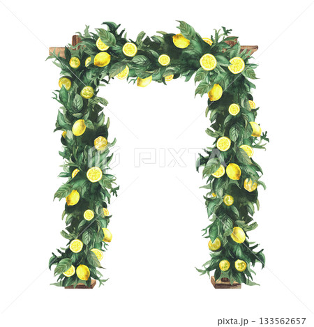 Wedding arch is decorated with green leaves and lemons. Watercolor realistic illustration Hand drawn wooden arches with greenery and yellow tropical fruit isolated from background for festive ceremony 133562657