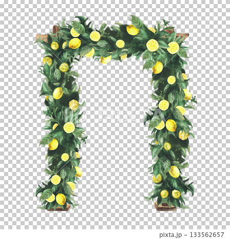 Wedding arch is decorated with green leaves and lemons. Watercolor realistic illustration Hand drawn wooden arches with greenery and yellow tropical fruit isolated from background for festive ceremony Wedding arch is decorated with green leaves and lemons. Watercolor realistic illustration Hand drawn wooden arches with greenery and yellow tropical fruit isolated from background for festive ceremony 133562657