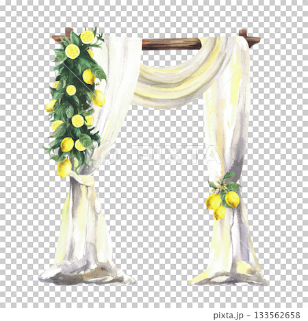 Arch decorated with curtain drapery and lemon branches isolated from background. Watercolor realistic Italian, Sicilian lemon wedding reception decoration for festive ceremony, Hand drawn illustration 133562658