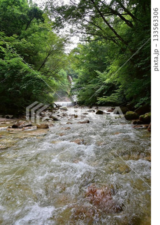 長野県 国営アルプスあづみの公園 乳川の清流 長野県 国営アルプスあづみの公園 乳川の清流 133563306