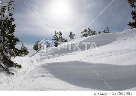 長野県　志賀高原　雪山の風景 133563483