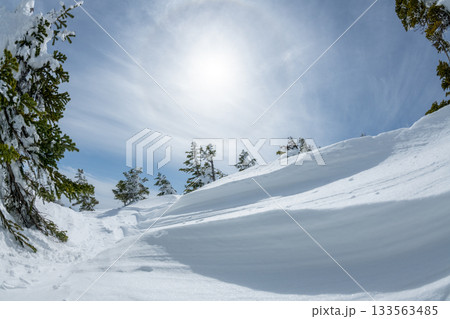 長野県　志賀高原　雪山の風景 133563485