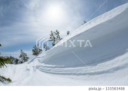 長野県　志賀高原　雪山の風景 133563486