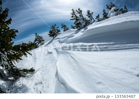 長野県 志賀高原 雪山の風景 長野県 志賀高原 雪山の風景 133563487