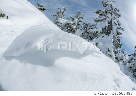 長野県　志賀高原　雪山の風景 133563489