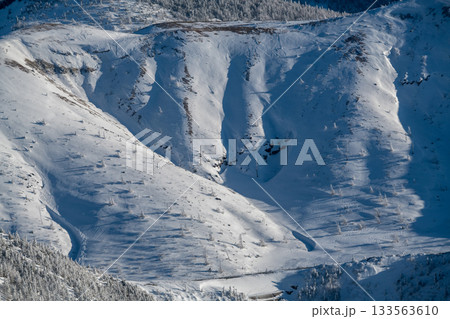 長野県　志賀高原　横手山山頂付近からの美しい眺め 133563610